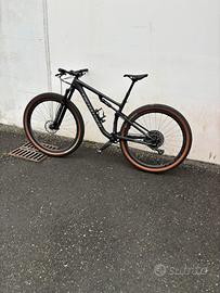 Specialized epic expert