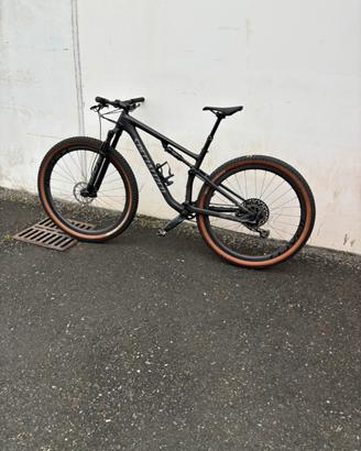 Specialized epic expert
