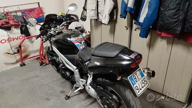 triumph speed daytona 955