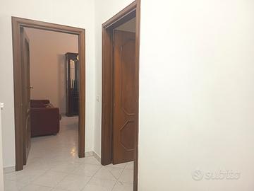 Avellino - In centro - Trilocale arredato