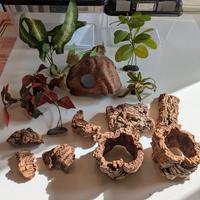 Kit 2 fauna box + termometro + igrometro