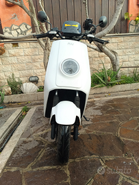 Niu NQI Sport Cargo 50cc con batteria maggiorata