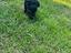 Immagine 4