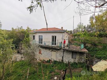 Appartamento 80 mq con terreno di c.ca 6800 mq