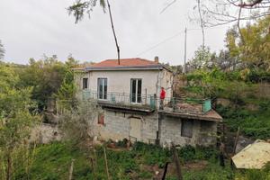 Appartamento 80 mq con terreno di c.ca 6800 mq