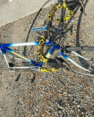 bicicletta corsa vitali