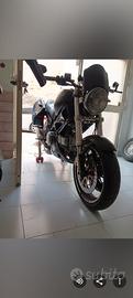 ducati Monster 600 special 