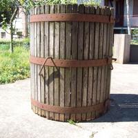 tino in rovere