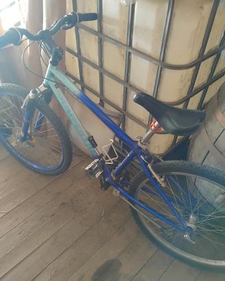 bici funzionante 