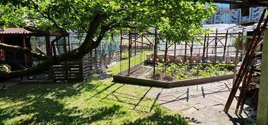 Terreno con alberi da frutto in gestione