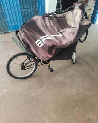 Bicicletta pieghevole