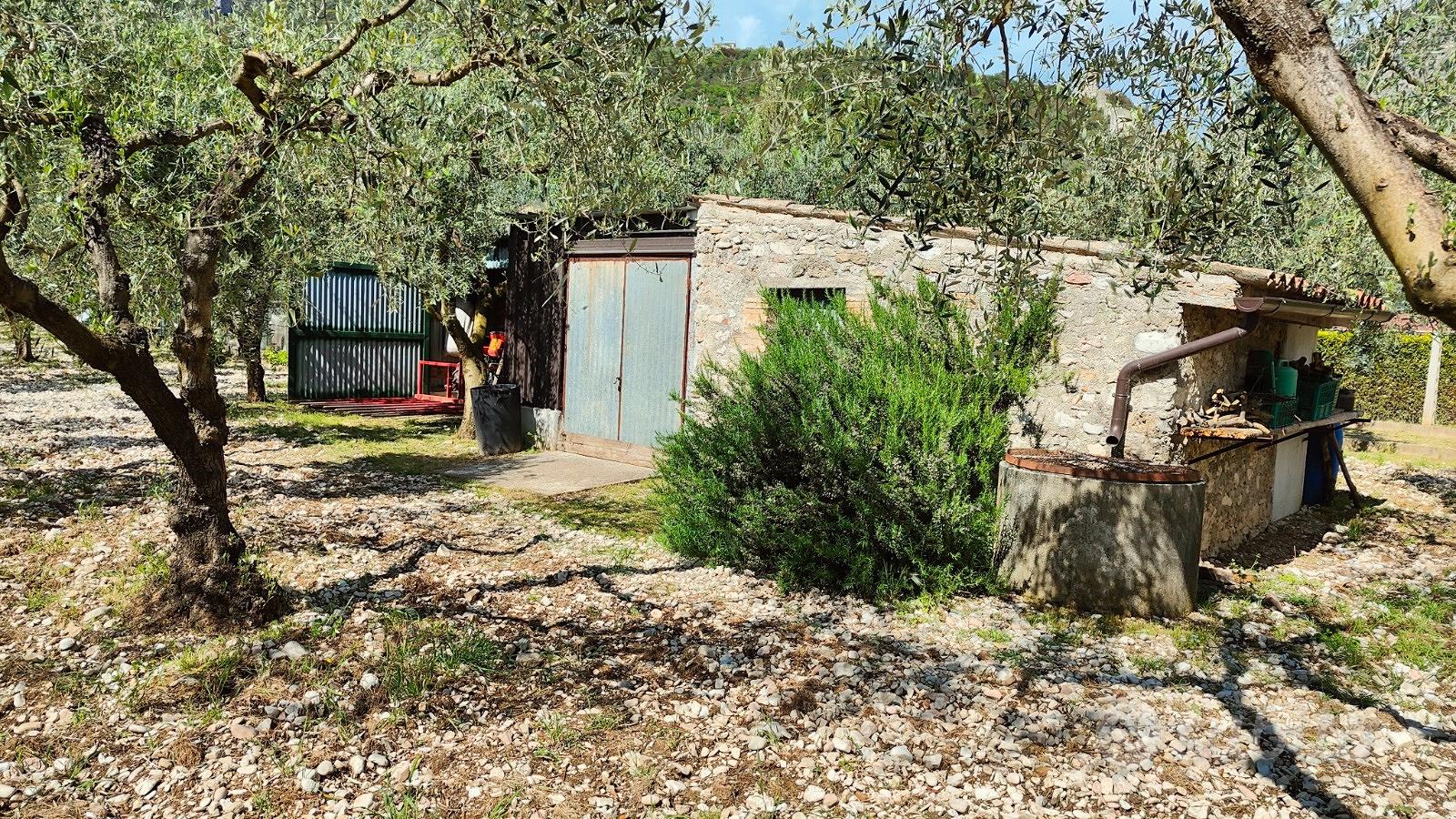 Oliveto - Vista 3
