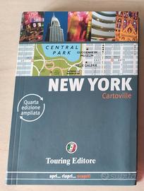 Guida cartoville New York