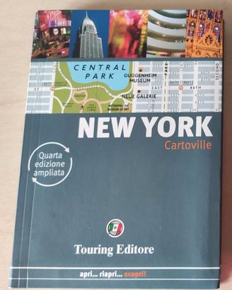 Guida cartoville New York