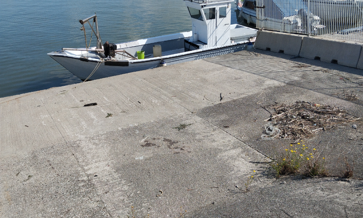 Barche da pesca con licenza