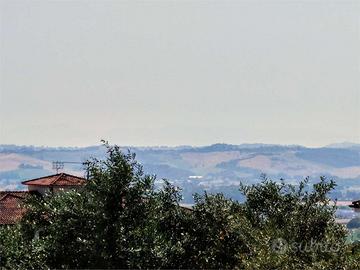 V003863 OSIMO