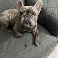 Mi chiamo Rio sono disponibile per monta