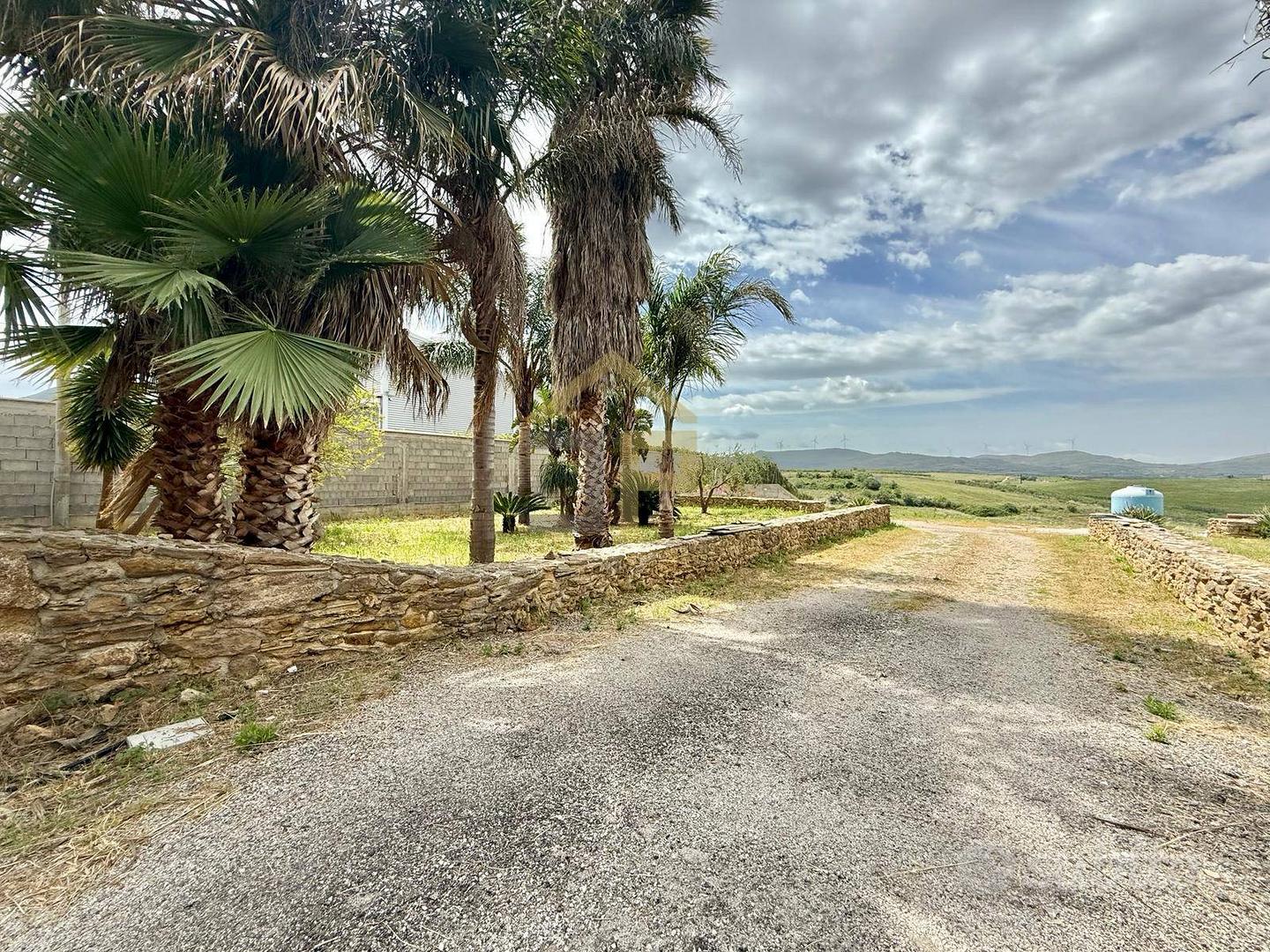 Terreno Agricolo - Partinico - Vista 4