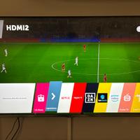 Tv smart LG 55”pollici