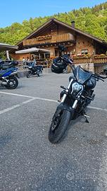 benelli 502c