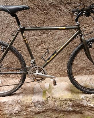 cinelli