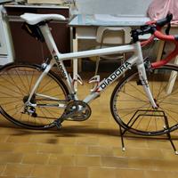 Bici da Corsa - Telaio Diadora Full Carbon