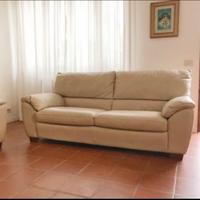 Divani