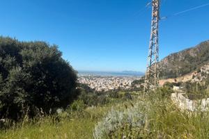 Terreno edificabile con progetto