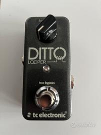 Pedalino ditto looper tc electronic