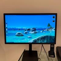 LG UltraFine 4K Monitor 24"