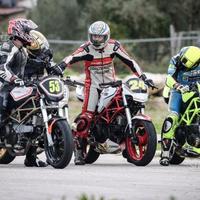 Ducati monster cup paracarter Cupolini puntale