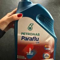 Liquido radiatore paraflu up rosso