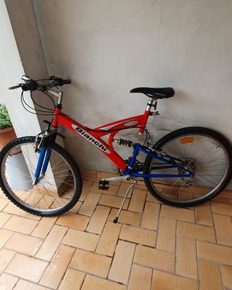 bicicletta