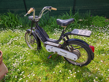 Bravo Piaggio 1981 completo 230