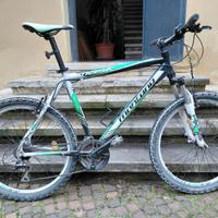 Mountain bike ragazzo usata