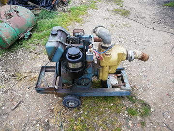 Motopompa motore lombardini lda510 avviamen diesel