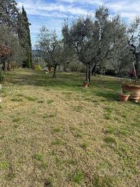 Casa indipendente di 86 m² con 4 locali a Firenze