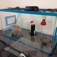 Teca/Terrario Completa 
