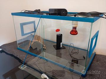 Teca/Terrario Completa 