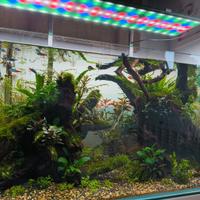 Acquario AQPET
