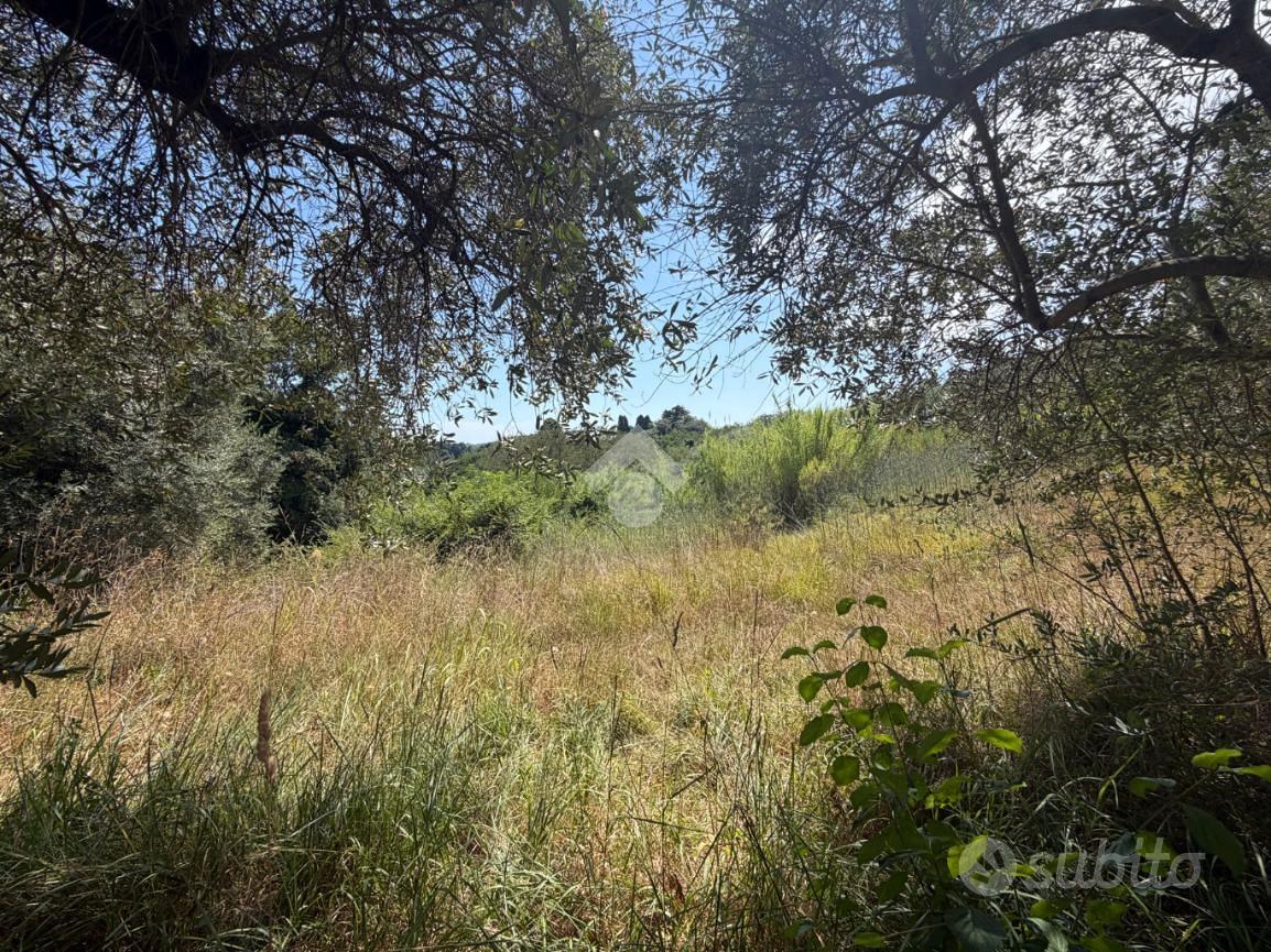 TER. AGRICOLO A CRESPINA LORENZANA - Vista 3