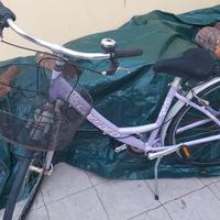 Bicicletta da Donna