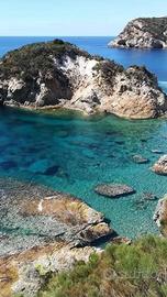 Last minute Ponza