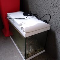 acquario