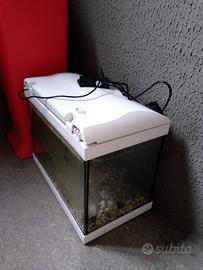 acquario