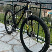 Mtb Specialized Rockhopper 29, Alluminio, taglia S