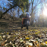 KTM 1290 super Adventure s