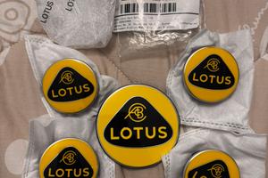5 stemmi originali Lotus Emira ed Eletre - NUOVI