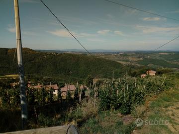 Casale rustico a Greve in Chianti ( Lamole )