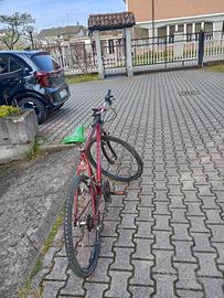 Mountain bike Mountain 